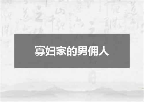 寡妇家的男佣人