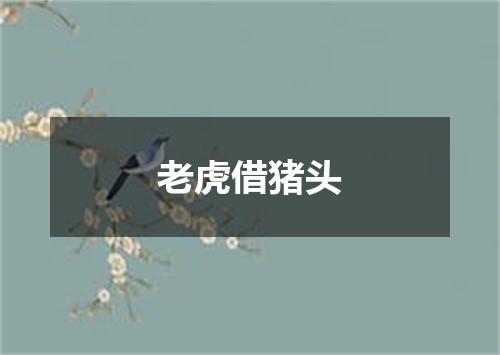 老虎借猪头