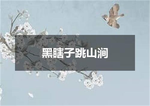 黑瞎子跳山涧