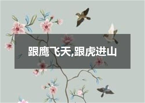跟鹰飞天,跟虎进山