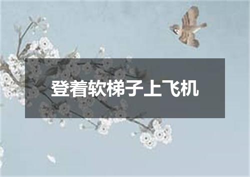 登着软梯子上飞机