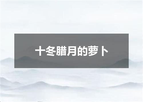 十冬腊月的萝卜