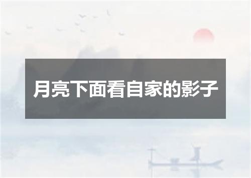 月亮下面看自家的影子