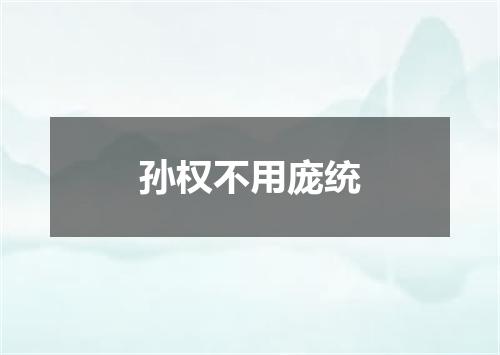 孙权不用庞统