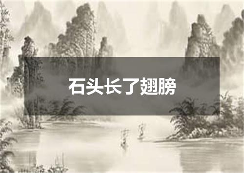 石头长了翅膀