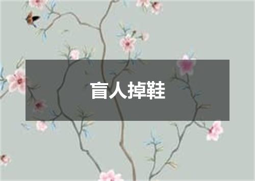 盲人掉鞋