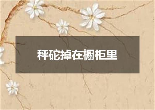 秤砣掉在橱柜里