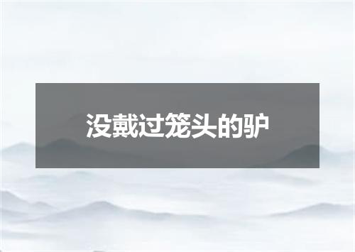 没戴过笼头的驴