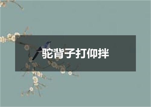 驼背子打仰拌