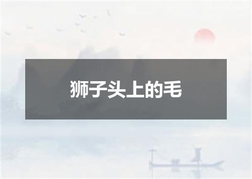 狮子头上的毛