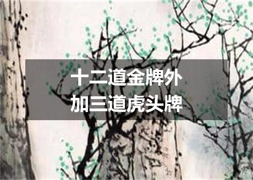 十二道金牌外加三道虎头牌