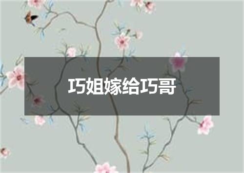 巧姐嫁给巧哥