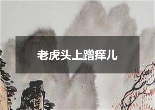 老虎头上蹭痒儿