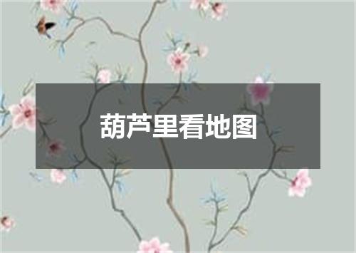 葫芦里看地图