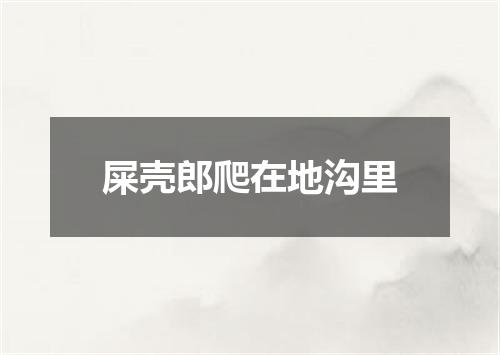 屎壳郎爬在地沟里