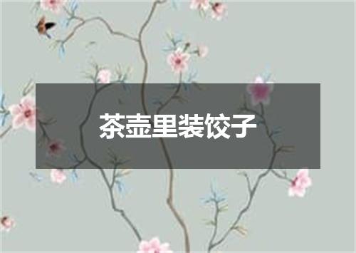 茶壶里装饺子