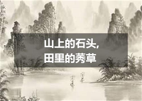 山上的石头,田里的莠草