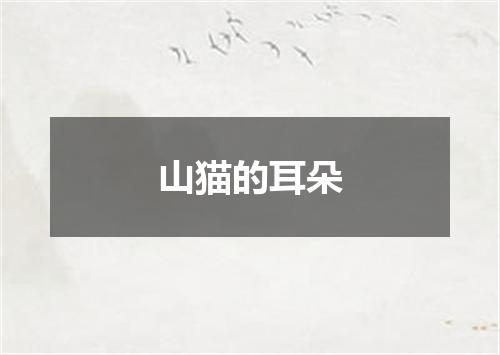 山猫的耳朵