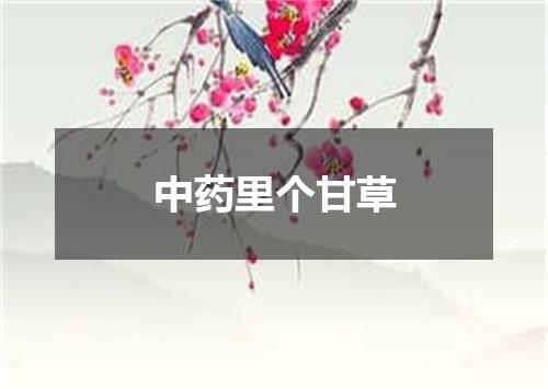 中药里个甘草