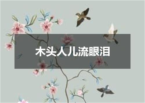 木头人儿流眼泪