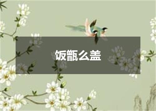 饭甑么盖