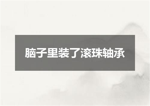 脑子里装了滚珠轴承