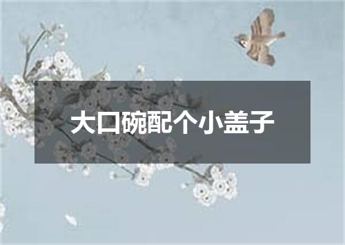 大口碗配个小盖子