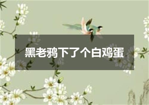 黑老鸦下了个白鸡蛋