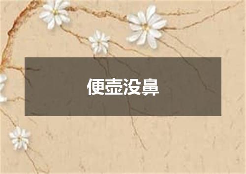 便壶没鼻