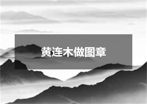黄连木做图章