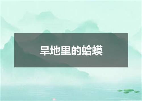 旱地里的蛤蟆