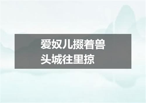 爱奴儿掇着兽头城往里掠