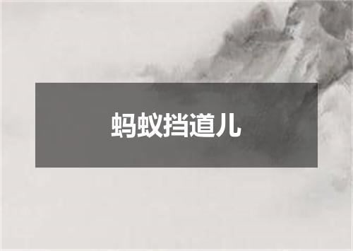 蚂蚁挡道儿