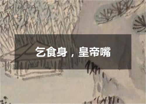 乞食身，皇帝嘴