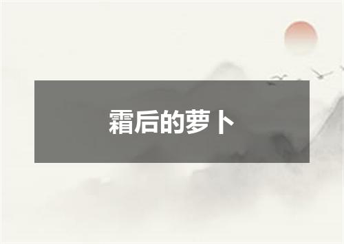 霜后的萝卜