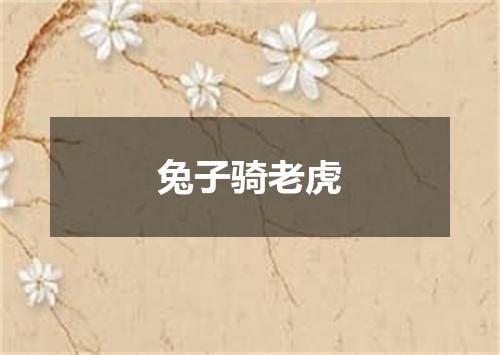 兔子骑老虎