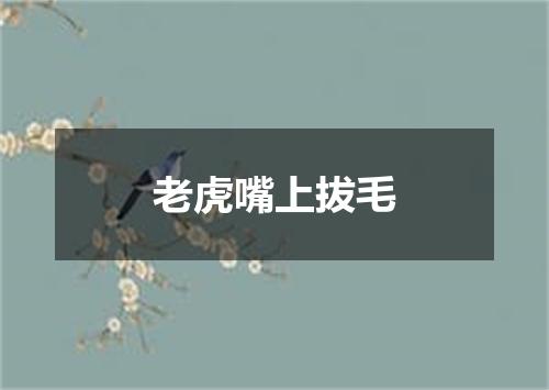 老虎嘴上拔毛