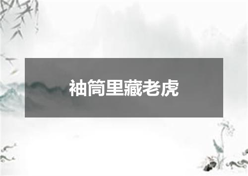 袖筒里藏老虎