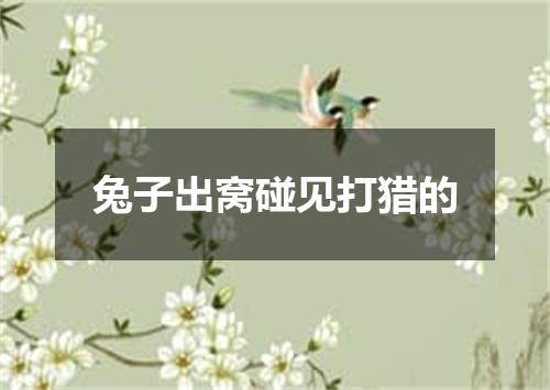 兔子出窝碰见打猎的