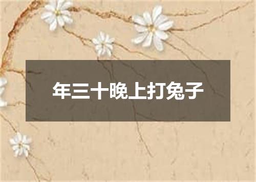 年三十晚上打兔子
