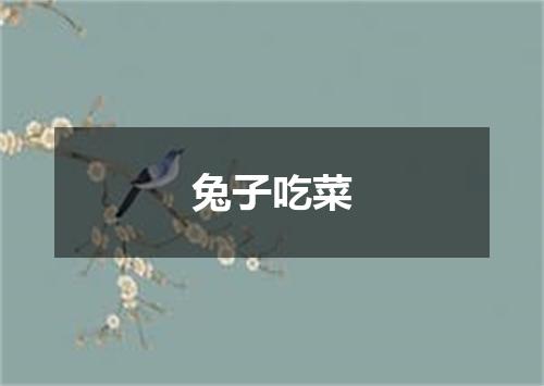 兔子吃菜