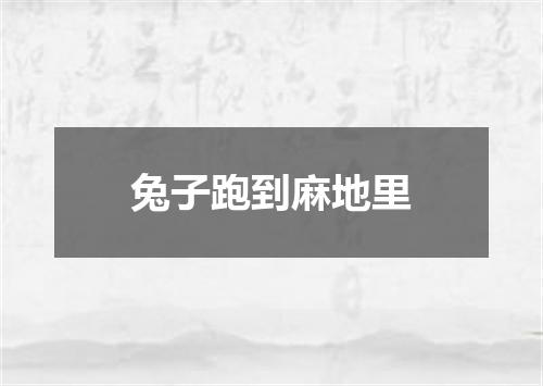 兔子跑到麻地里