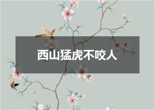 西山猛虎不咬人