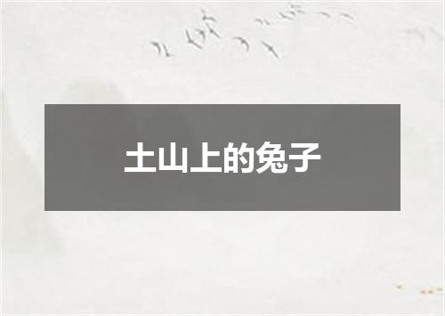 土山上的兔子