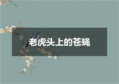 老虎头上的苍蝇