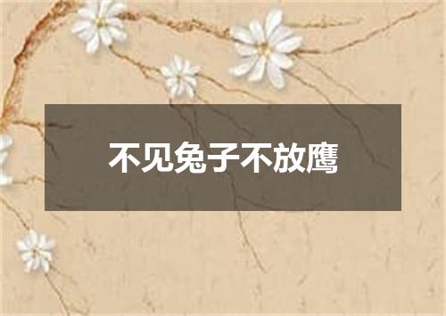 不见兔子不放鹰