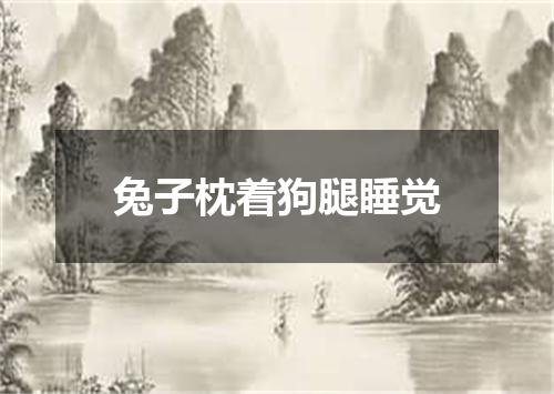 兔子枕着狗腿睡觉
