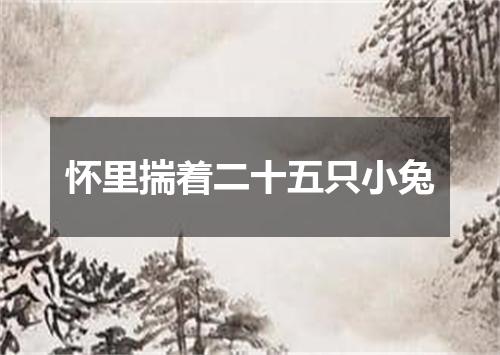 怀里揣着二十五只小兔