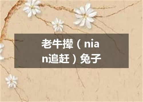 老牛撵（nian追赶）兔子