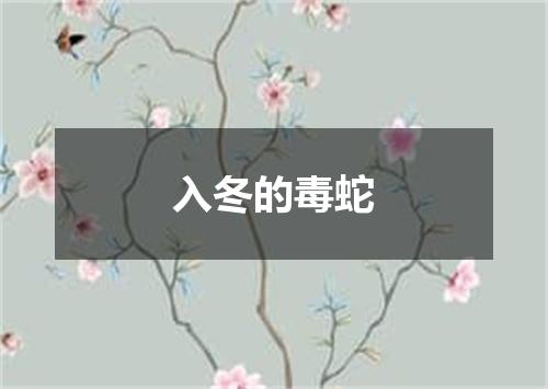 入冬的毒蛇
